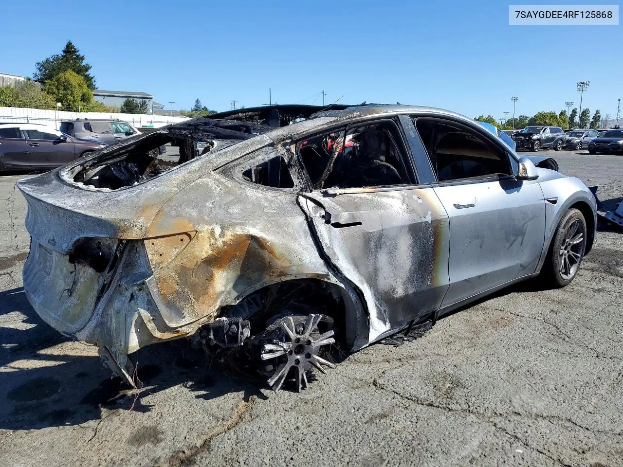 2024 TESLA MODEL Y VIN 7SAYGDEE4RF125868 — фото 3