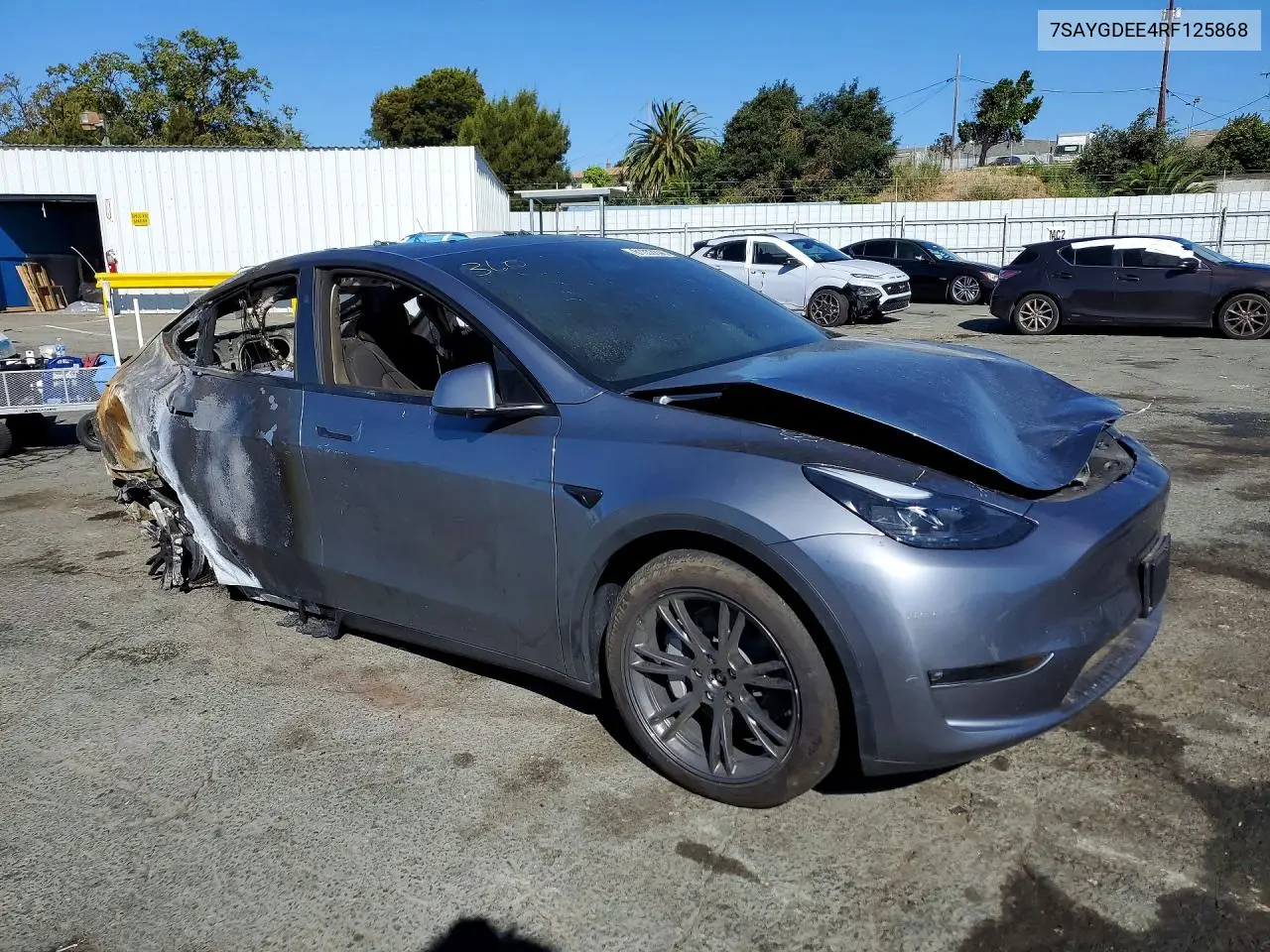 2024 TESLA MODEL Y VIN 7SAYGDEE4RF125868 — фото 4