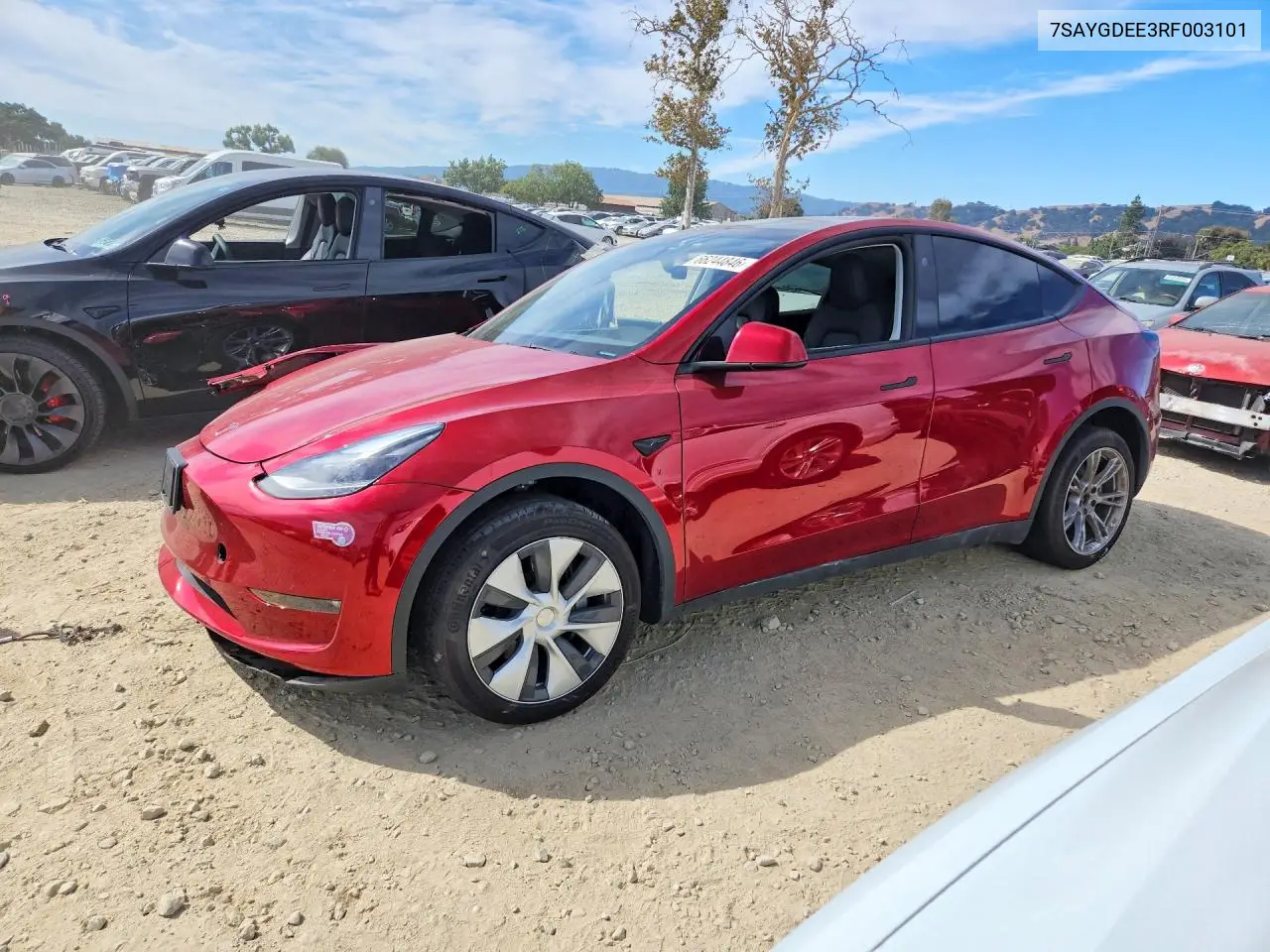 TESLA MODEL Y 2024, VIN 7SAYGDEE3RF003101