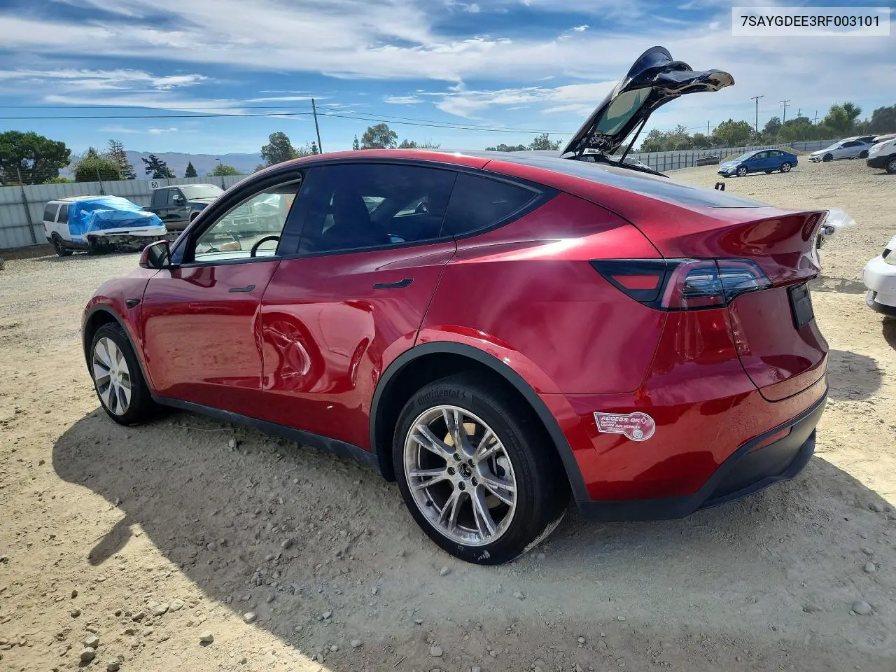 2024 TESLA MODEL Y VIN 7SAYGDEE3RF003101 — фото 2