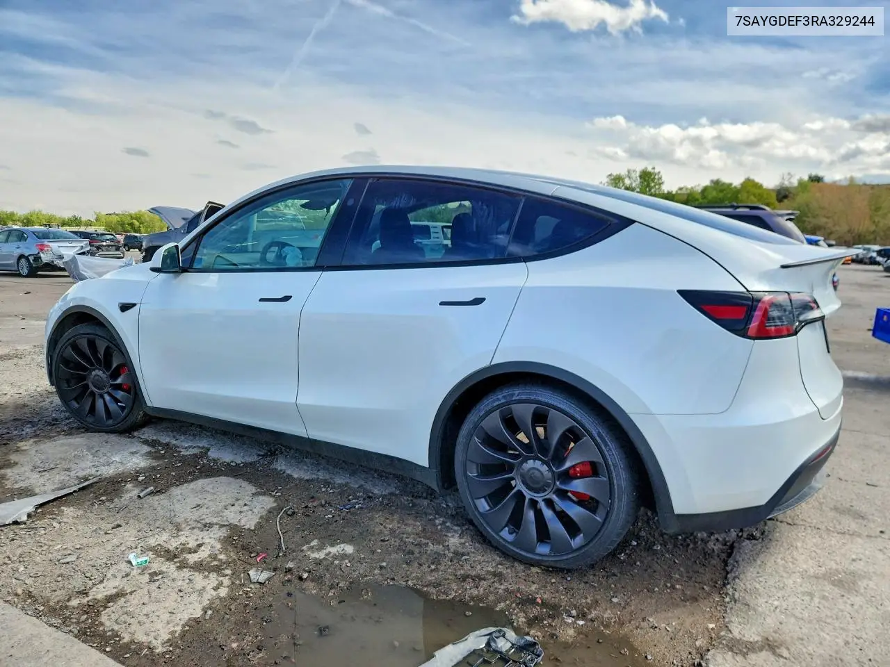 2024 TESLA MODEL Y VIN 7SAYGDEF3RA329244 — фото 2