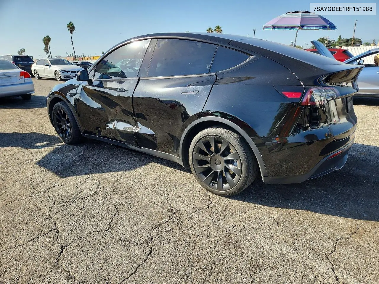 2024 TESLA MODEL Y VIN 7SAYGDEE1RF151988 — фото 2