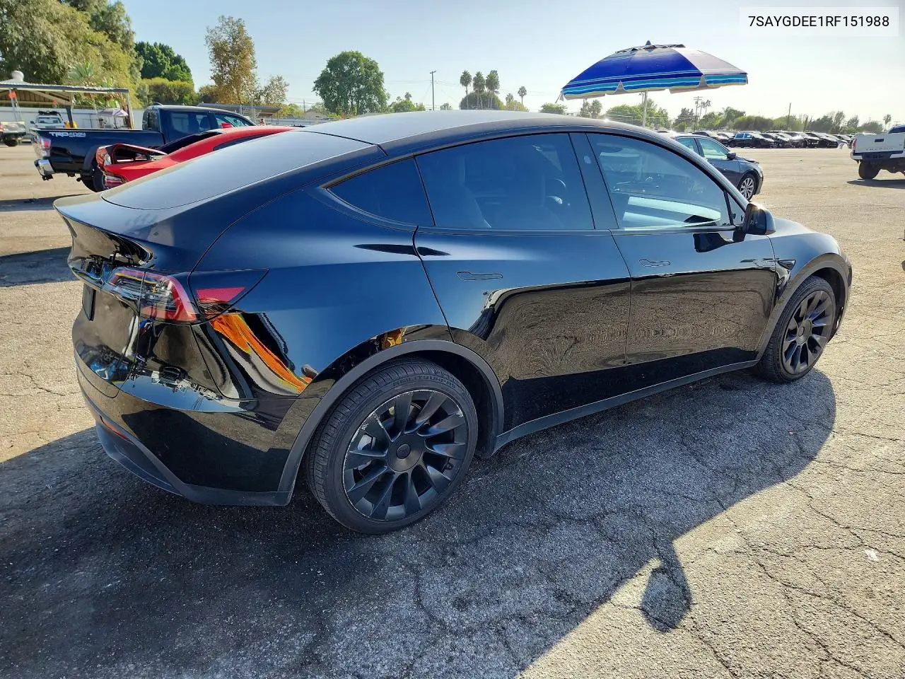 2024 TESLA MODEL Y VIN 7SAYGDEE1RF151988 — фото 3