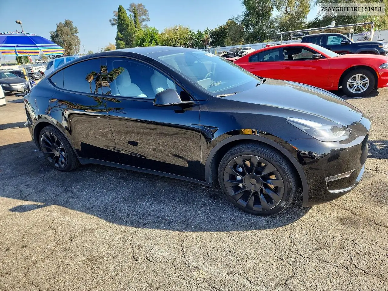 2024 TESLA MODEL Y VIN 7SAYGDEE1RF151988 — фото 4