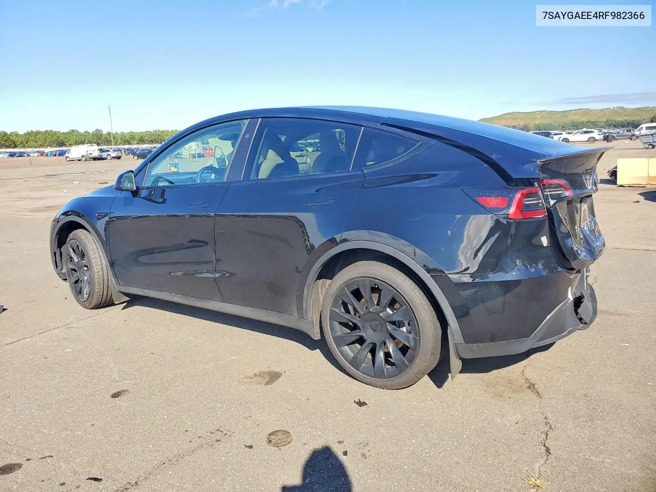 2024 TESLA MODEL Y VIN 7SAYGAEE4RF982366 — фото 2