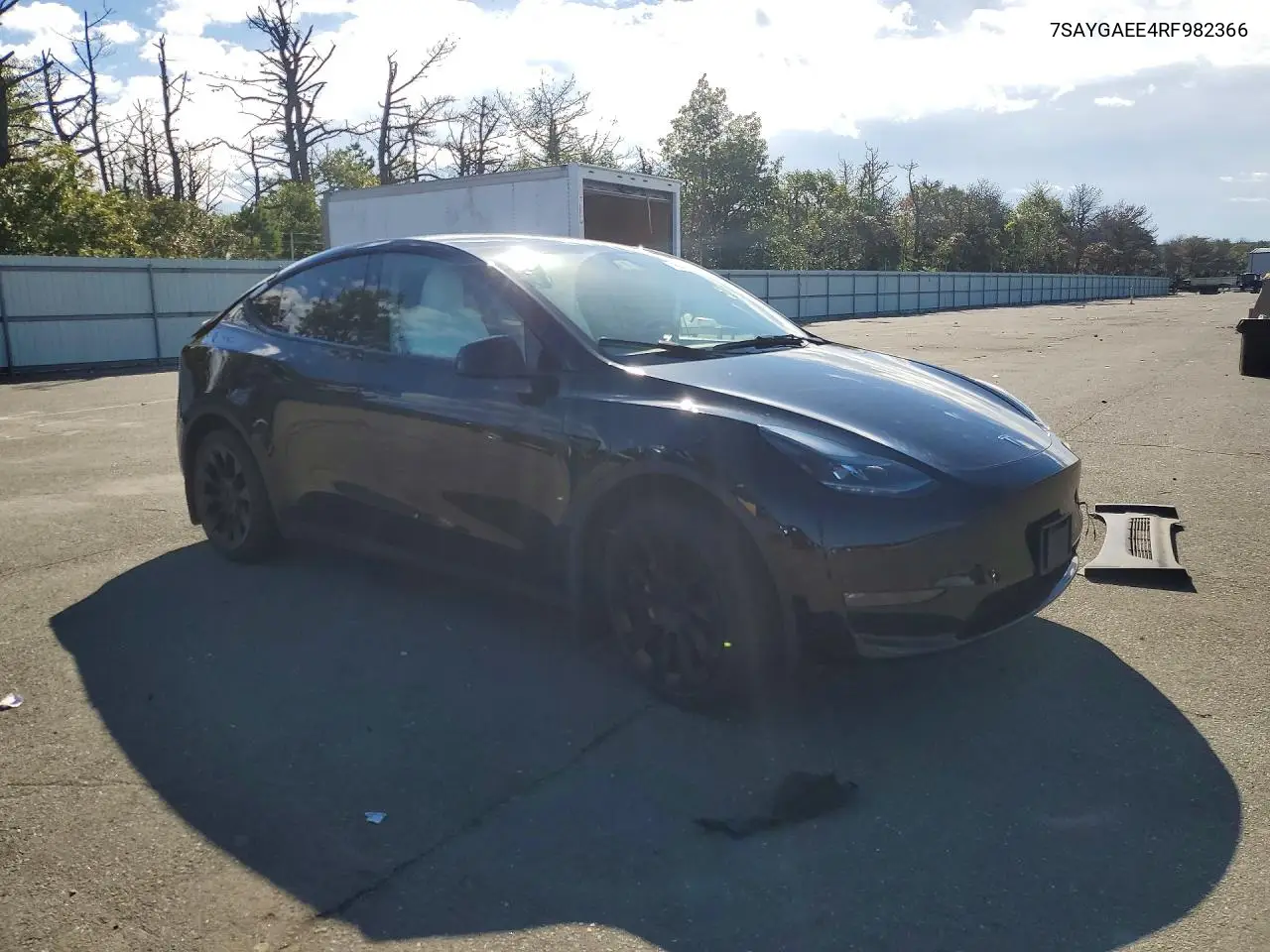 2024 TESLA MODEL Y VIN 7SAYGAEE4RF982366 — фото 4