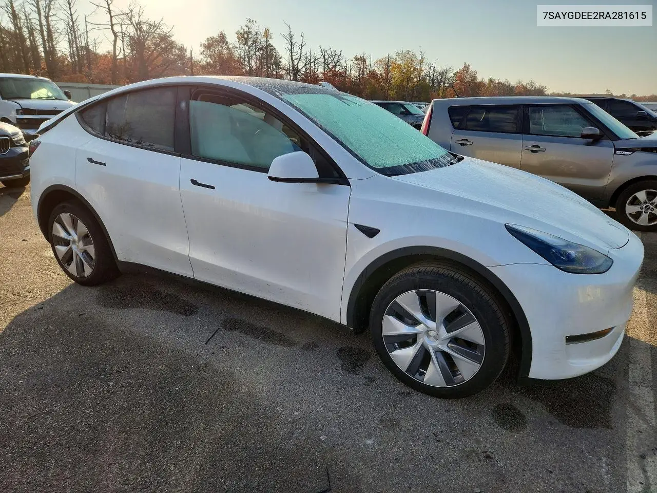 2024 TESLA MODEL Y VIN 7SAYGDEE2RA281615 — фото 4