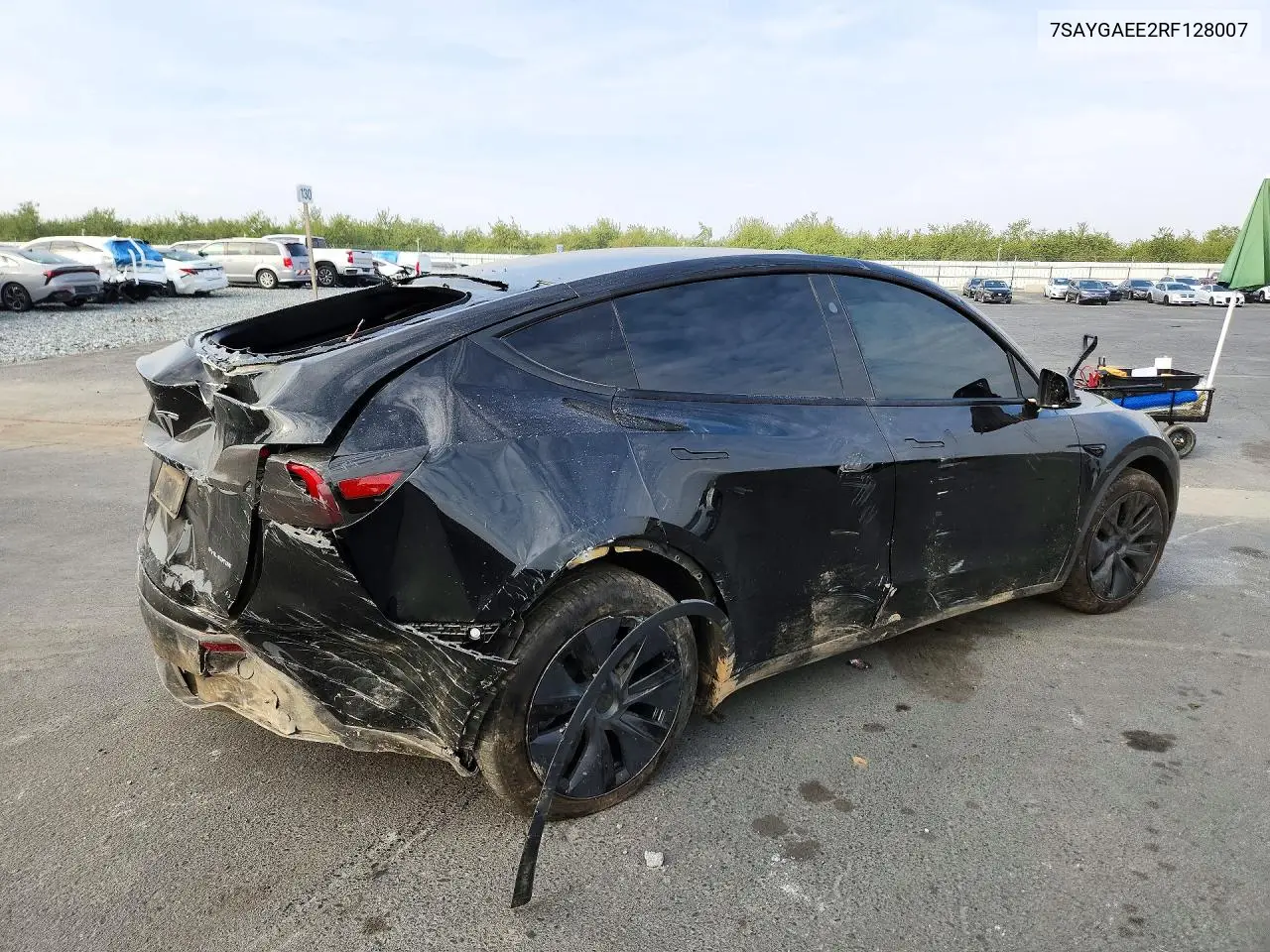 2024 TESLA MODEL Y VIN 7SAYGAEE2RF128007 — фото 3