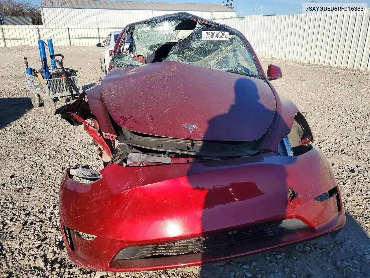 2024 TESLA MODEL Y VIN 7SAYGDED6RF016383 — фото 5