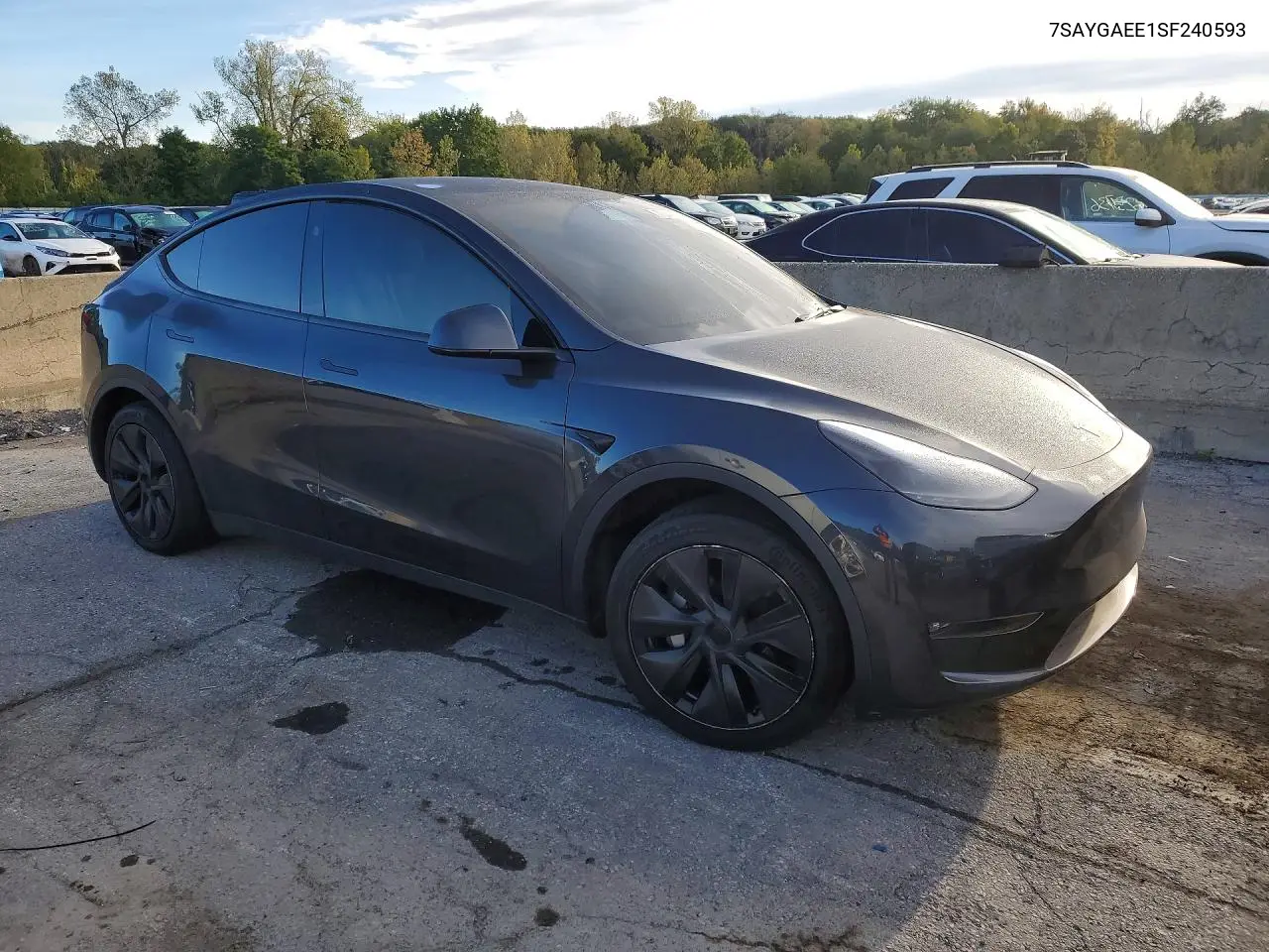 2025 TESLA MODEL Y VIN 7SAYGAEE1SF240593 — фото 4