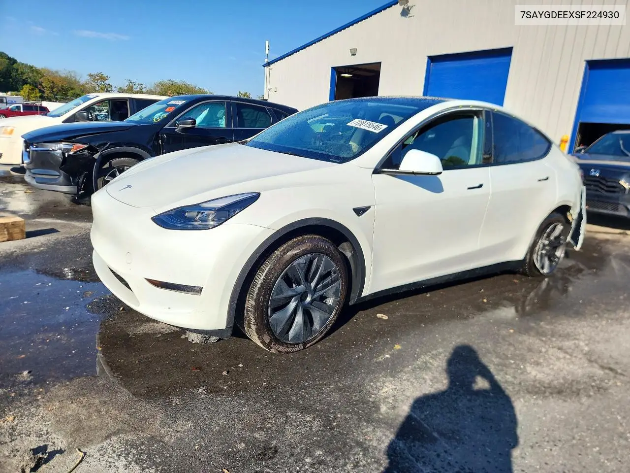 TESLA MODEL Y 2025, VIN 7SAYGDEEXSF224930