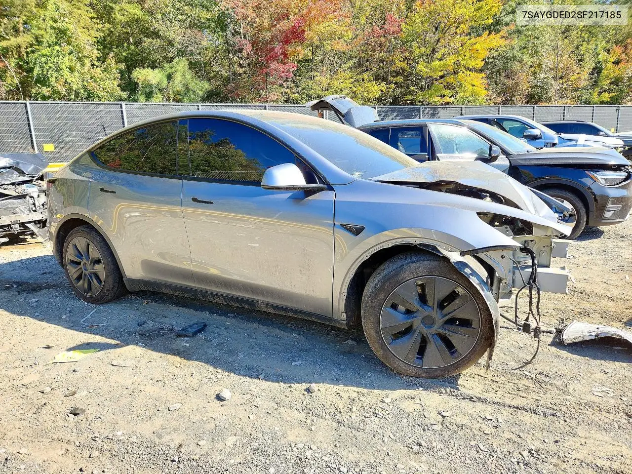 2025 TESLA MODEL Y VIN 7SAYGDED2SF217185 — фото 4