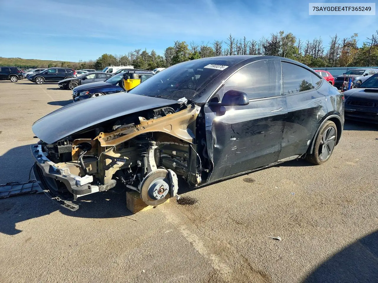 TESLA MODEL Y 2026, VIN 7SAYGDEE4TF365249