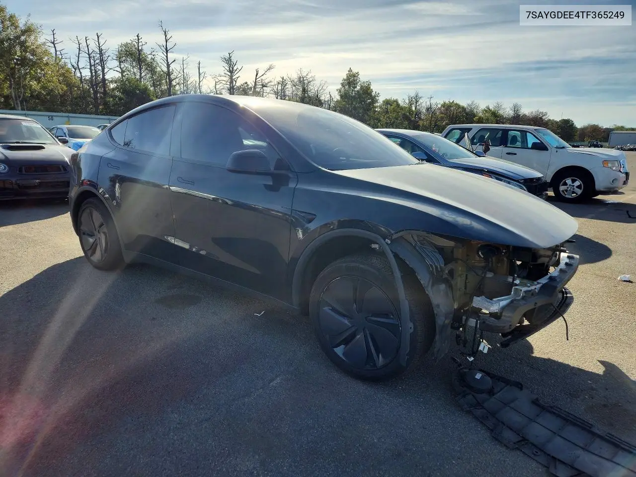 2026 TESLA MODEL Y VIN 7SAYGDEE4TF365249 — фото 4