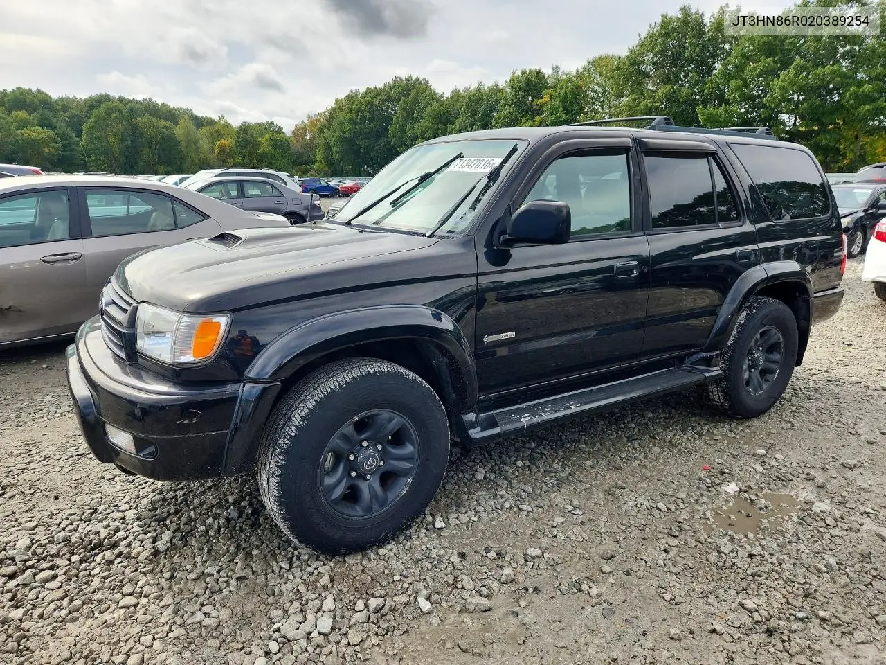 TOYOTA 4RUNNER 2002, VIN JT3HN86R020389254