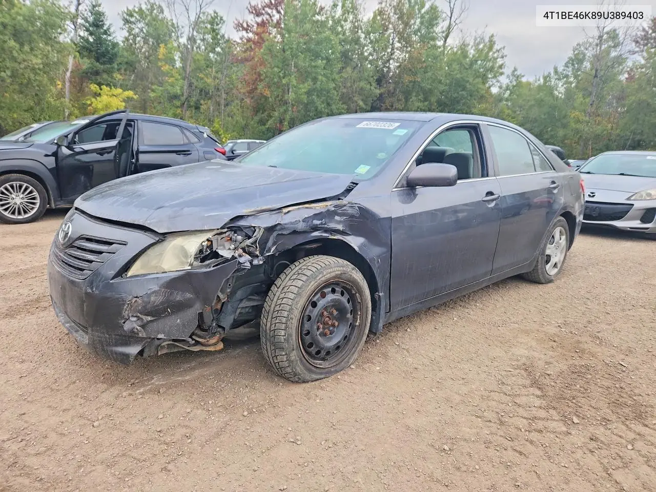TOYOTA CAMRY 2009, VIN 4T1BE46K89U389403