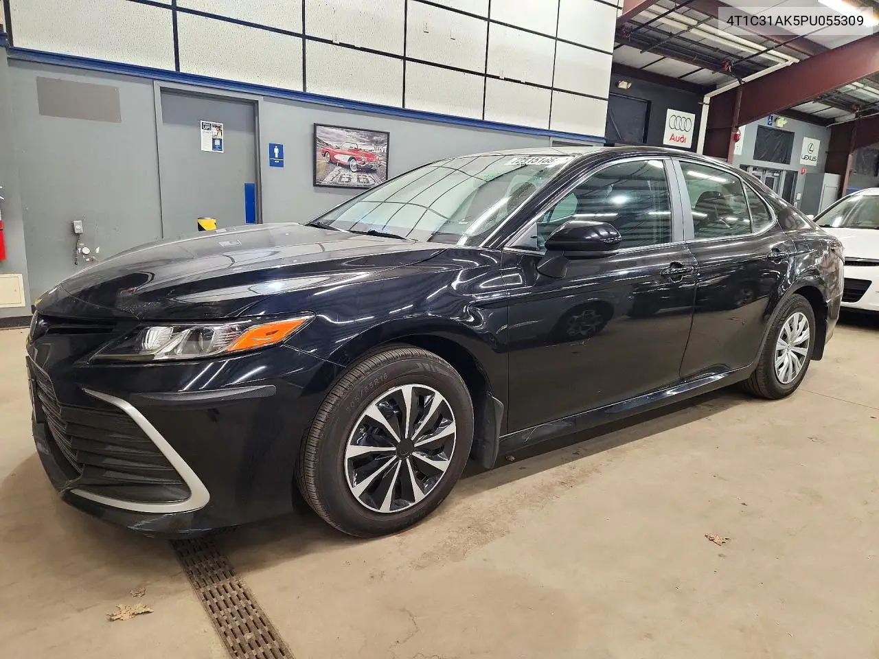 TOYOTA CAMRY 2023, VIN 4T1C31AK5PU055309
