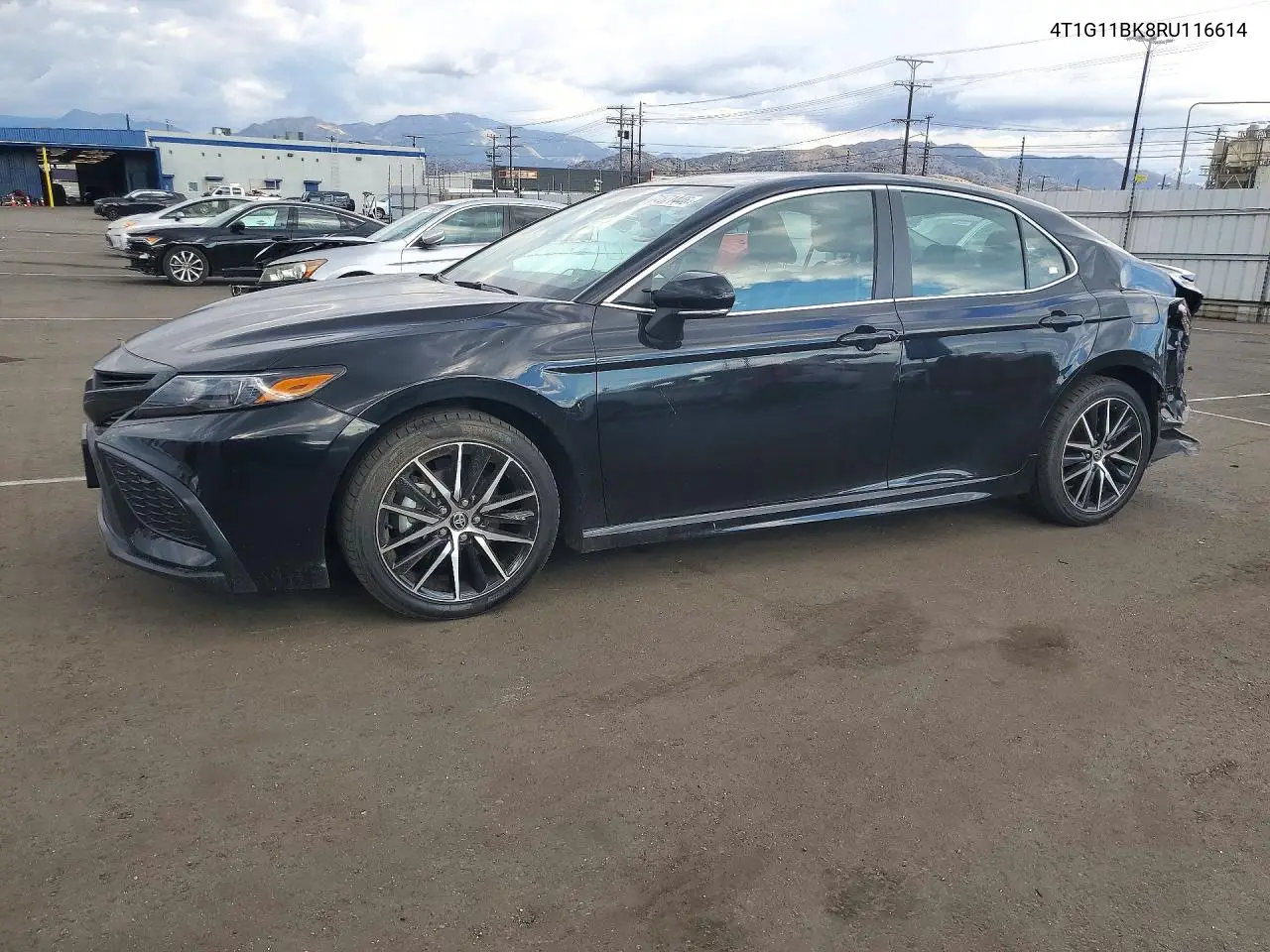 TOYOTA CAMRY 2024, VIN 4T1G11BK8RU116614