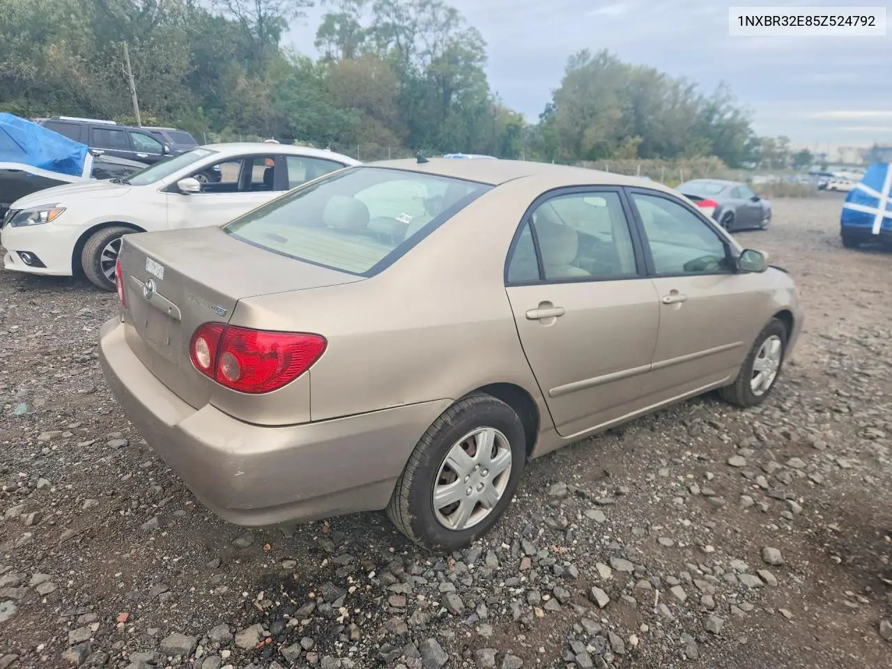 TOYOTA COROLLA 2005, VIN 1NXBR32E85Z524792