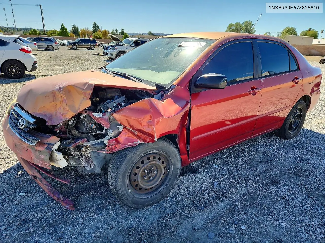 TOYOTA COROLLA 2007, VIN 1NXBR30E67Z828810