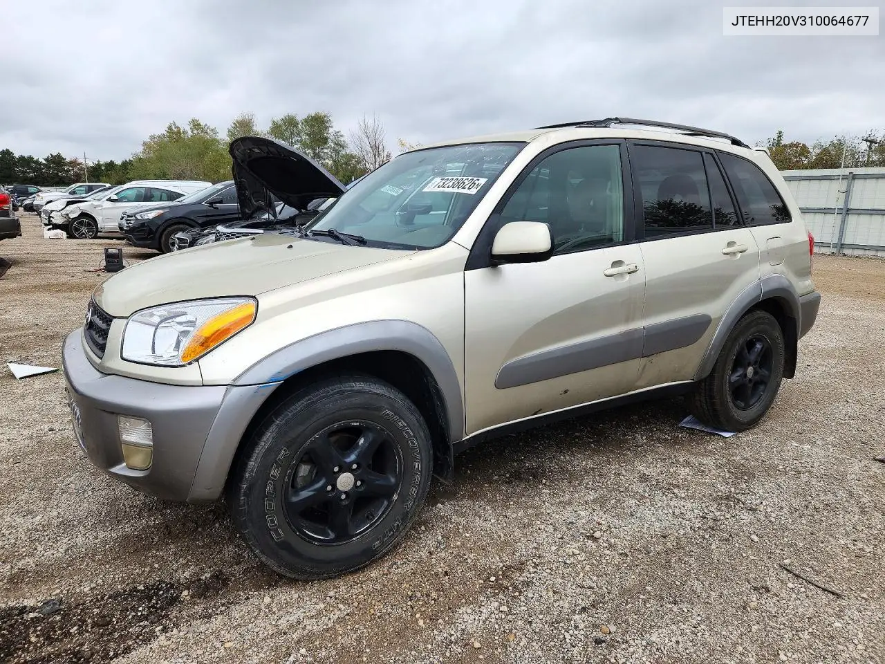 TOYOTA RAV 4 2001, VIN JTEHH20V310064677