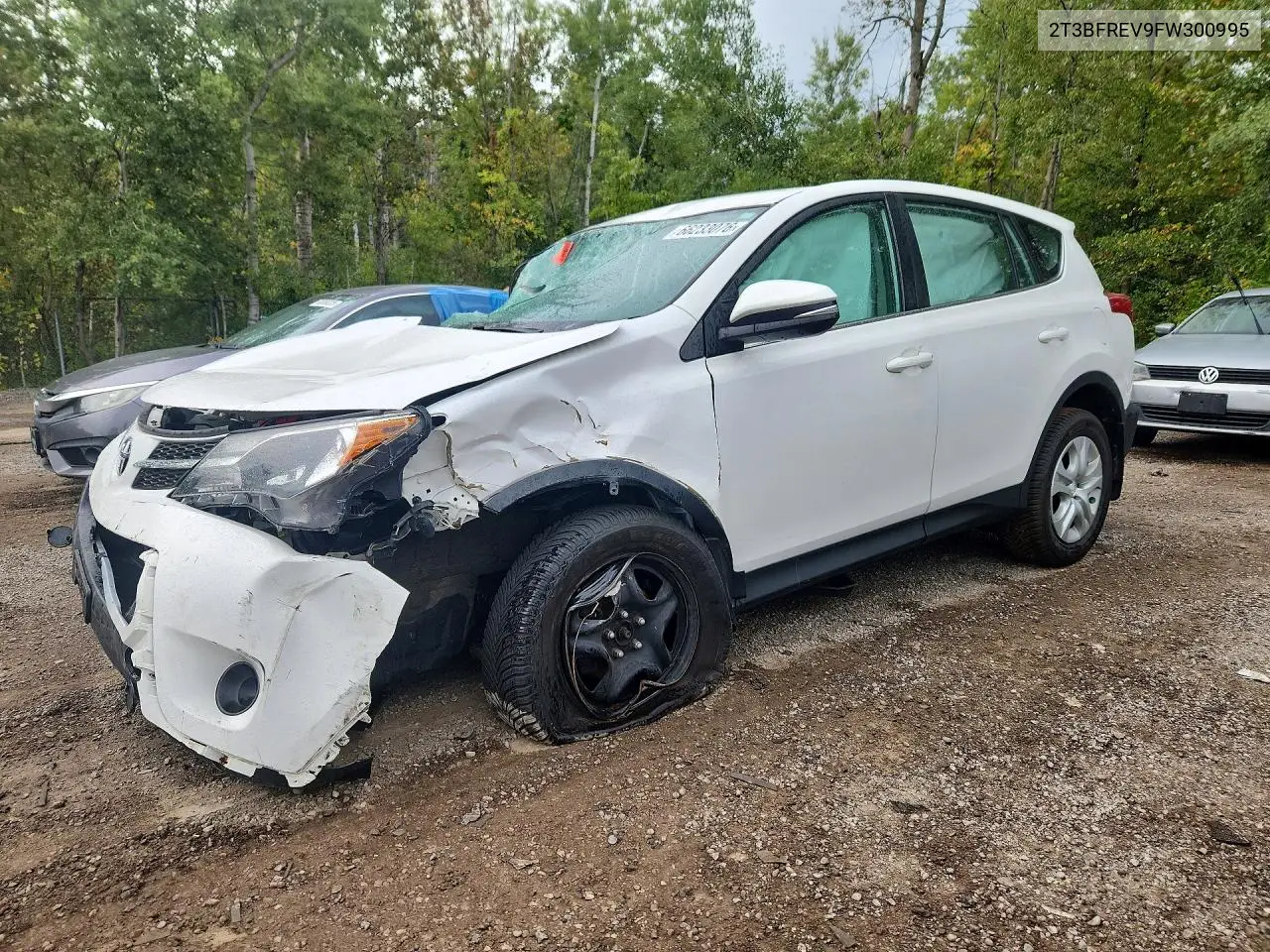 TOYOTA RAV 4 2015, VIN 2T3BFREV9FW300995
