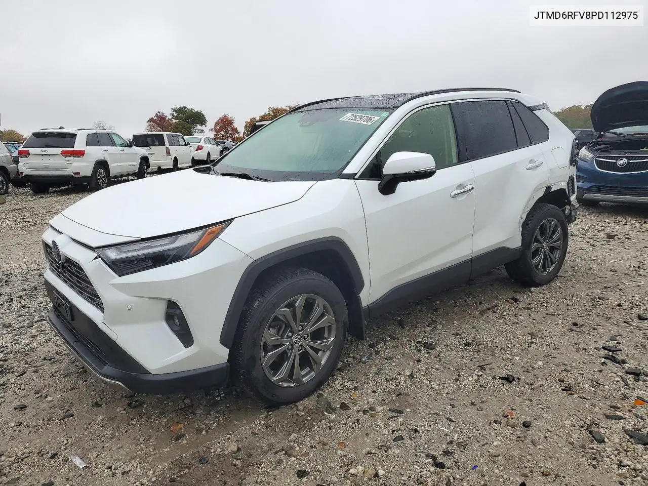 TOYOTA RAV 4 2023, VIN JTMD6RFV8PD112975
