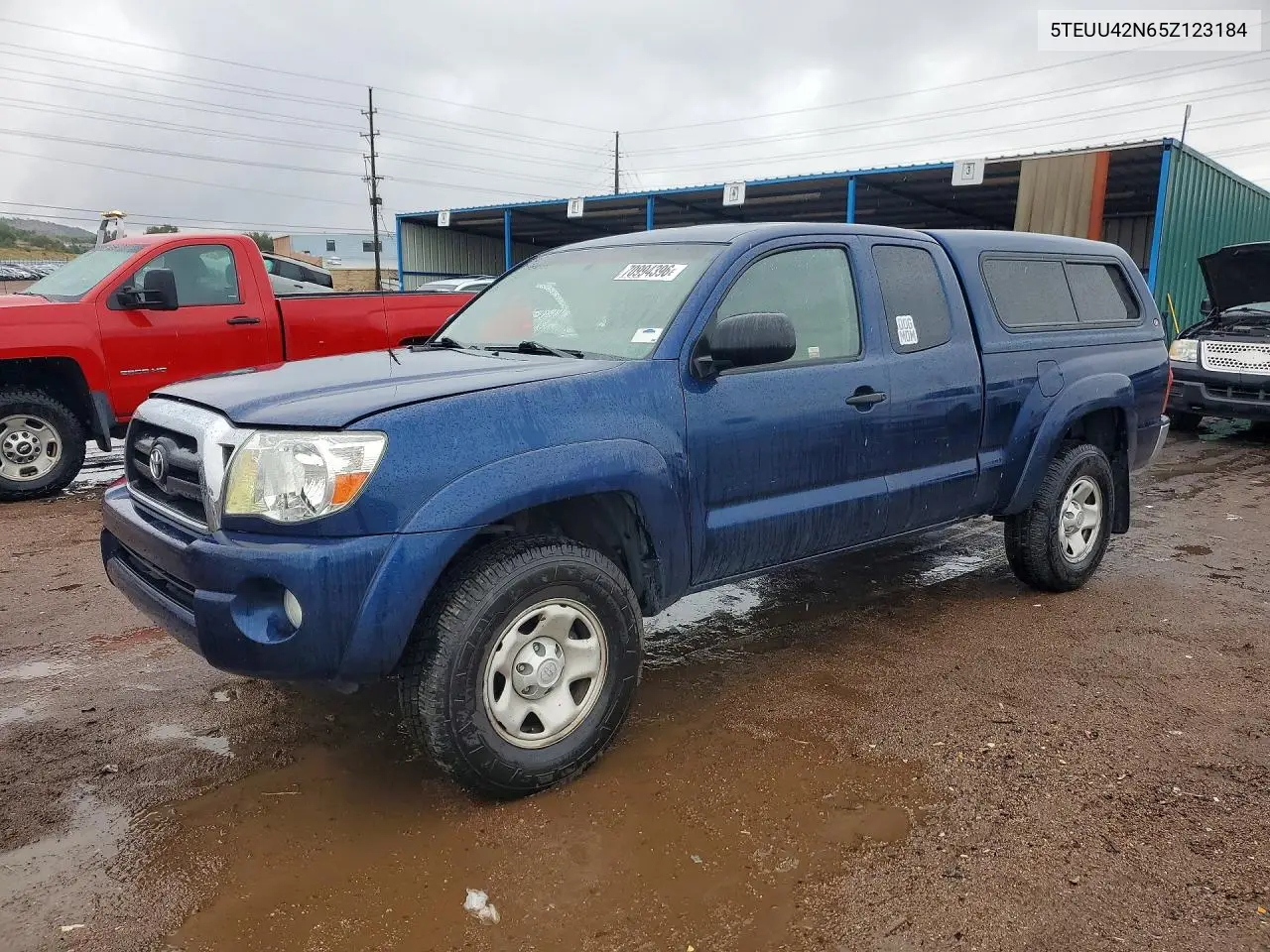 TOYOTA TACOMA 2005, VIN 5TEUU42N65Z123184