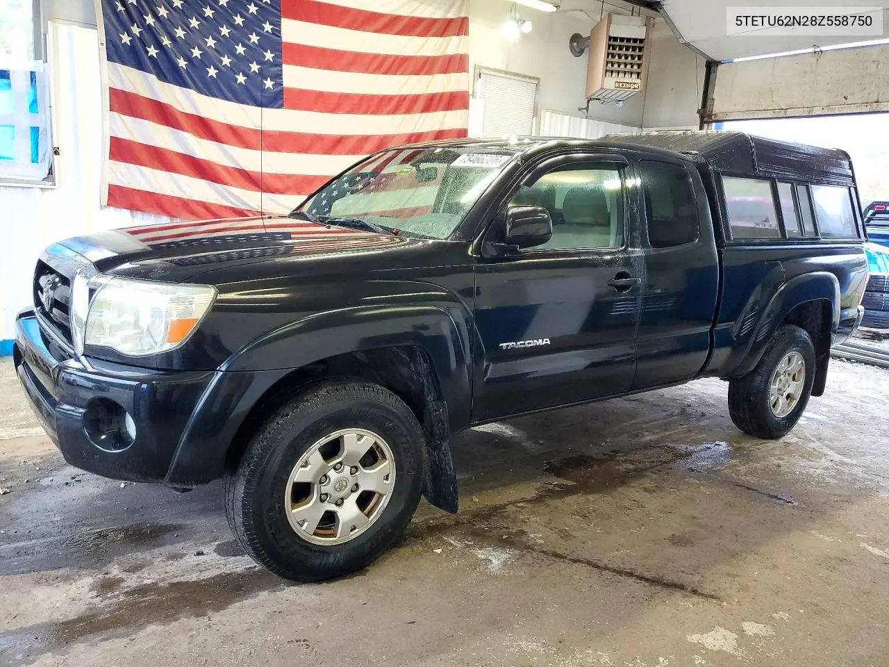 TOYOTA TACOMA 2008, VIN 5TETU62N28Z558750