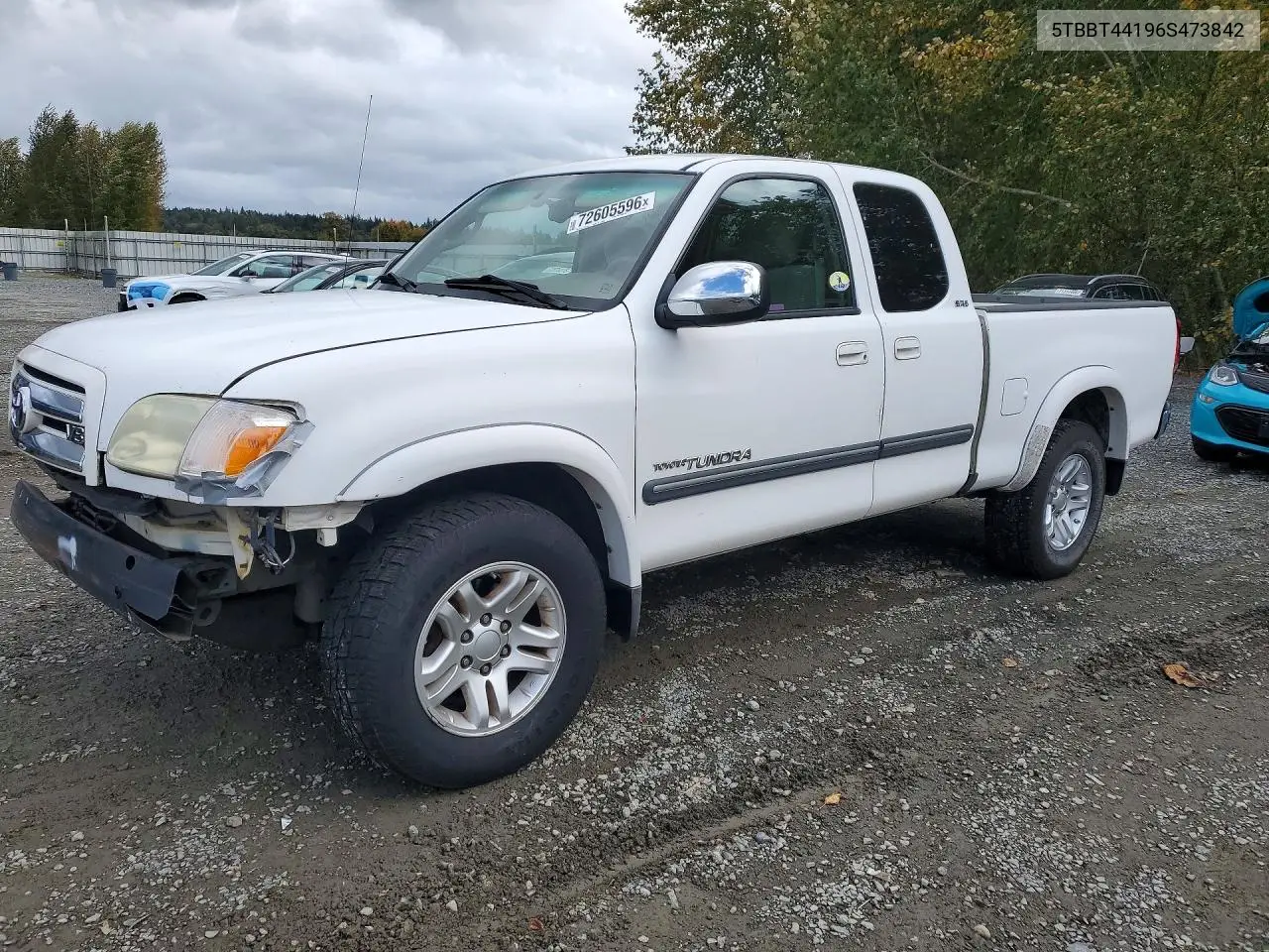 TOYOTA TUNDRA 2006, VIN 5TBBT44196S473842