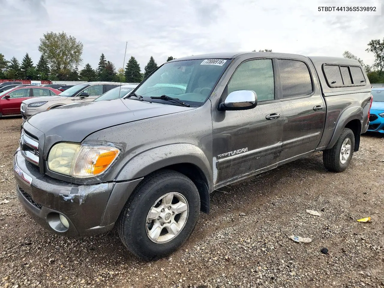 TOYOTA TUNDRA 2006, VIN 5TBDT44136S539892