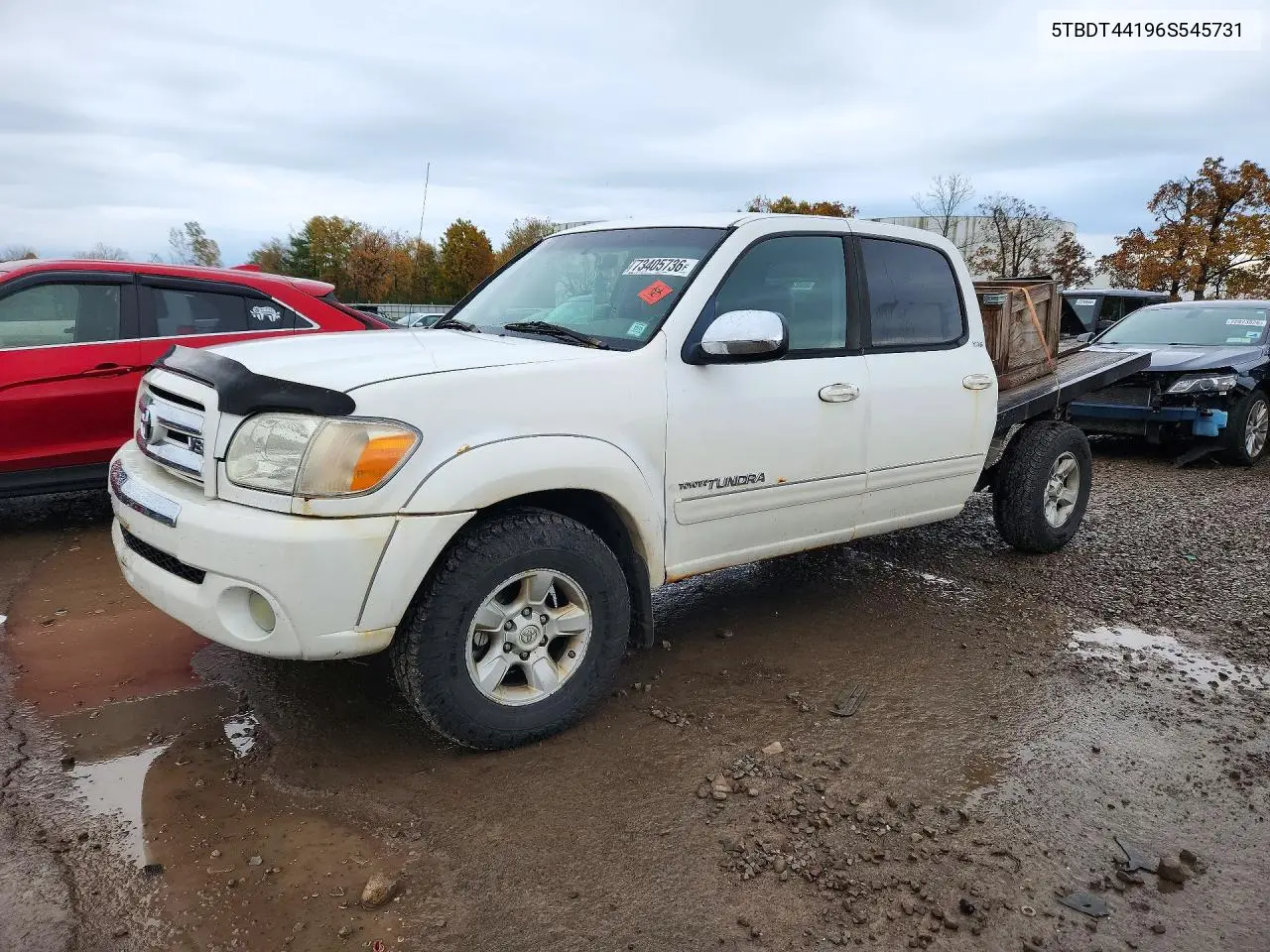 TOYOTA TUNDRA 2006, VIN 5TBDT44196S545731