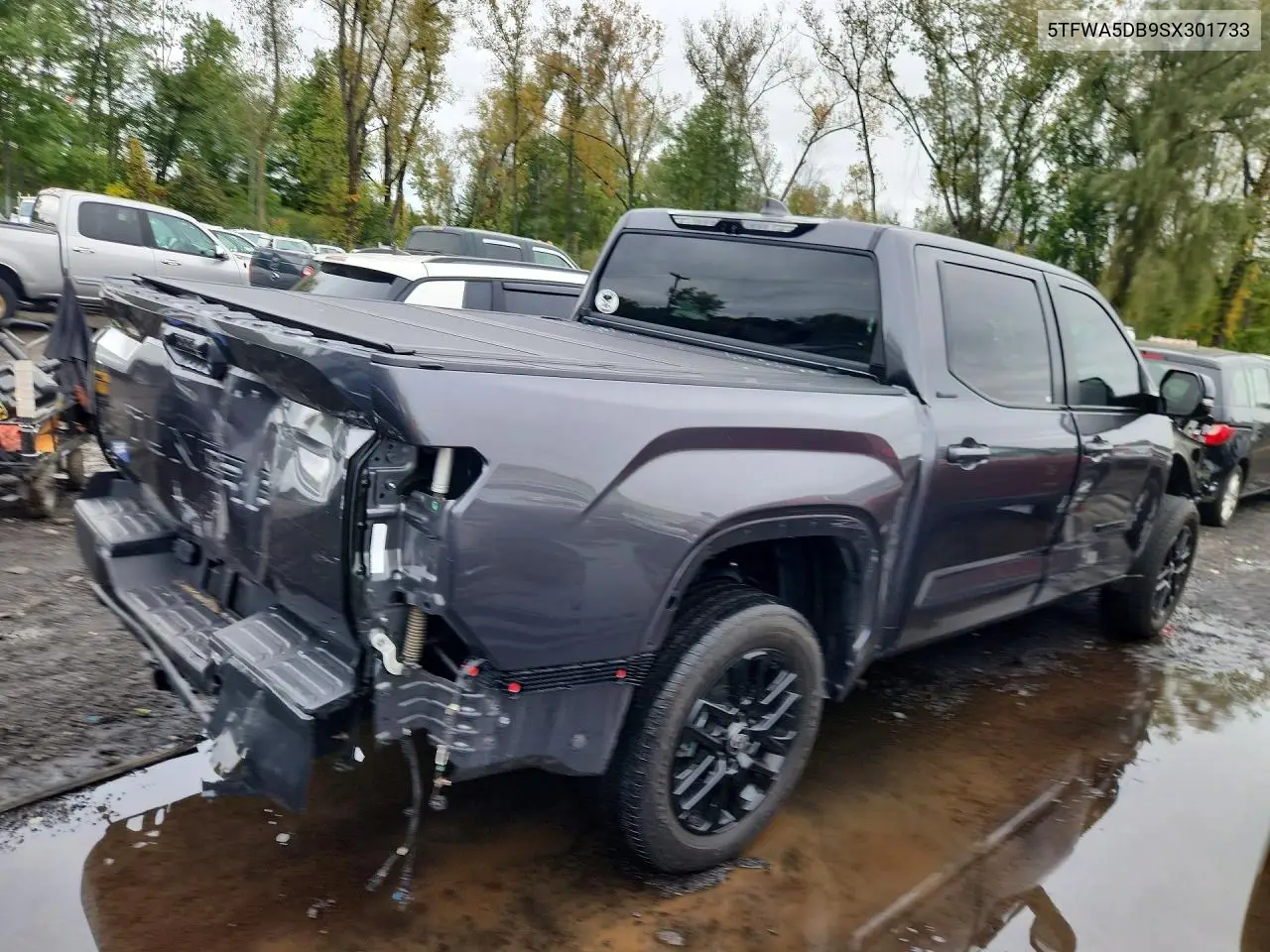 2025 TOYOTA TUNDRA VIN 5TFWA5DB9SX301733 — фото 3