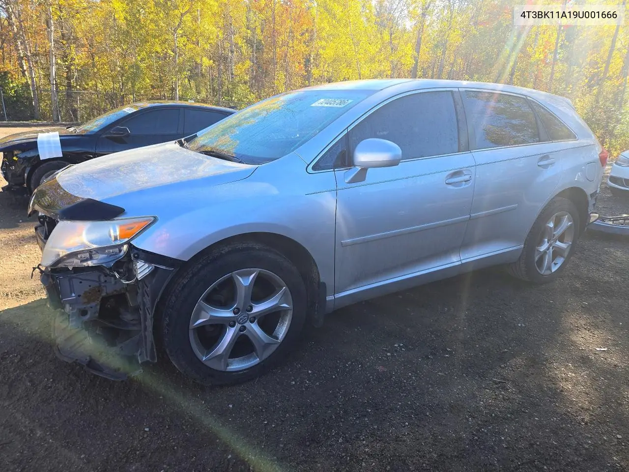 TOYOTA VENZA 2009, VIN 4T3BK11A19U001666