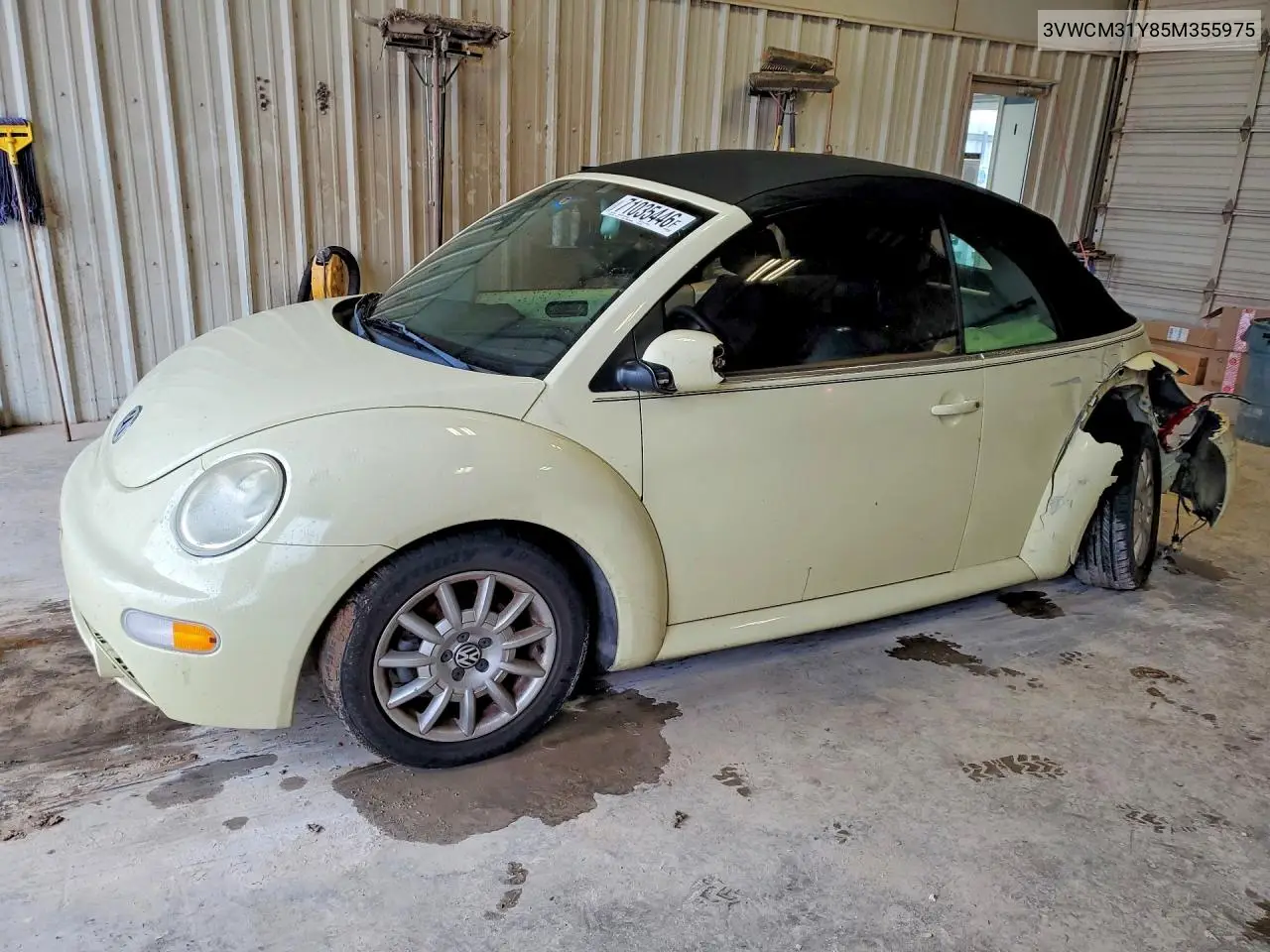 VOLKSWAGEN BEETLE 2005, VIN 3VWCM31Y85M355975