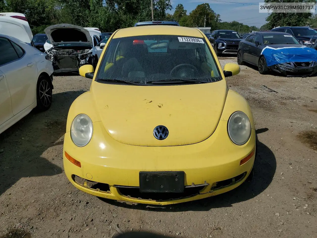 2009 VOLKSWAGEN BEETLE VIN 3VWPW31C39M501737 — фото 5
