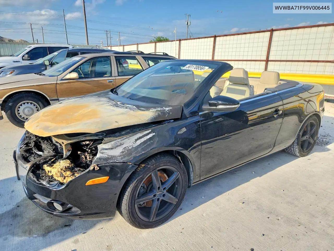 VOLKSWAGEN EOS 2009, VIN WVWBA71F99V006445