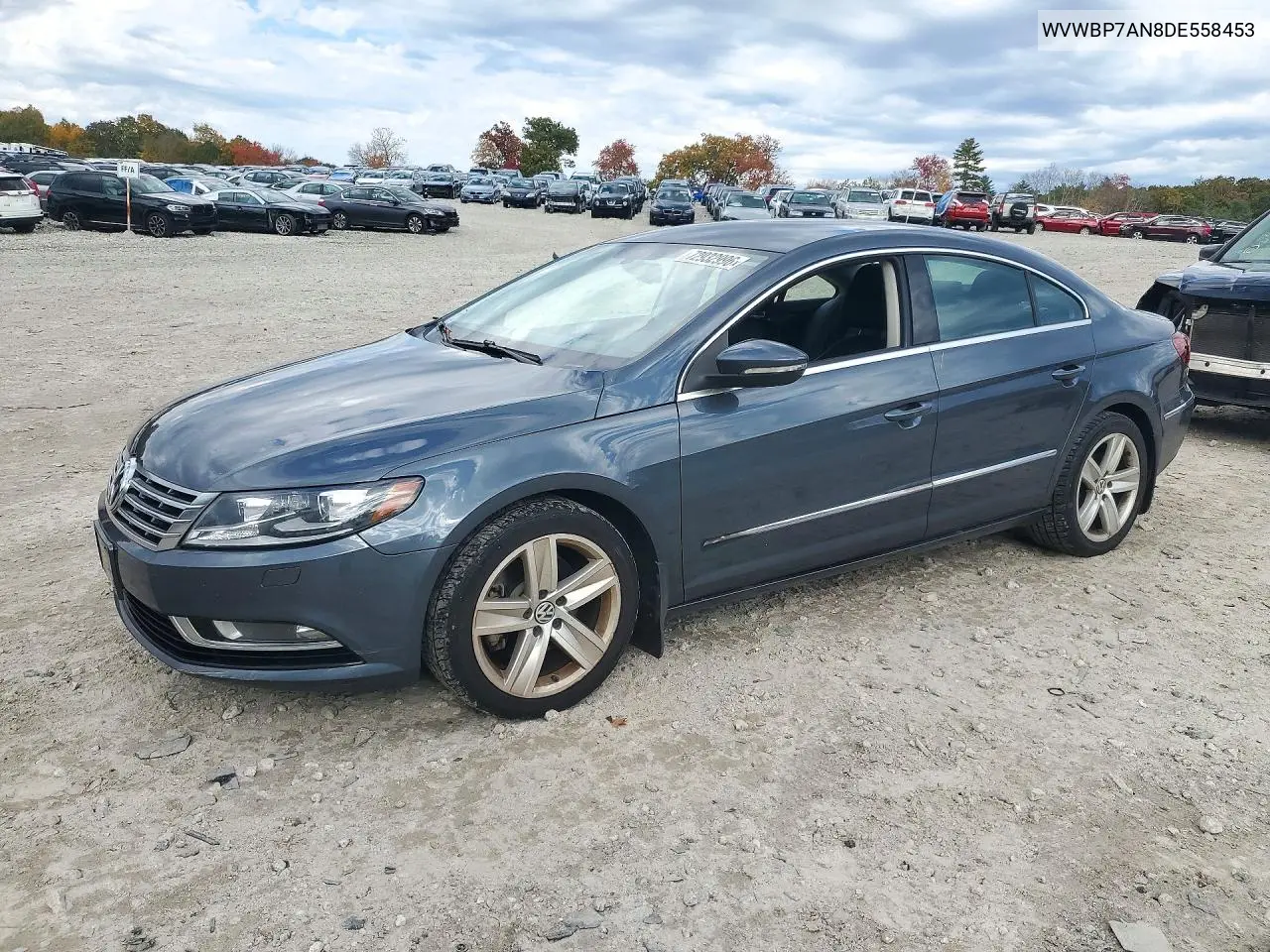 VOLKSWAGEN PASSAT CC 2013, VIN WVWBP7AN8DE558453