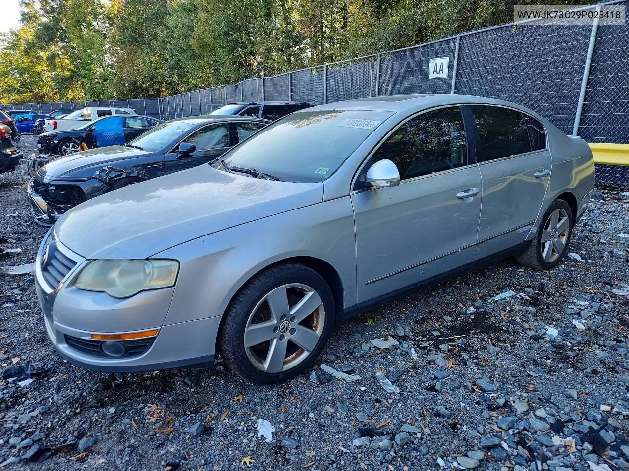 VOLKSWAGEN PASSAT 2009, VIN WVWJK73C29P025418