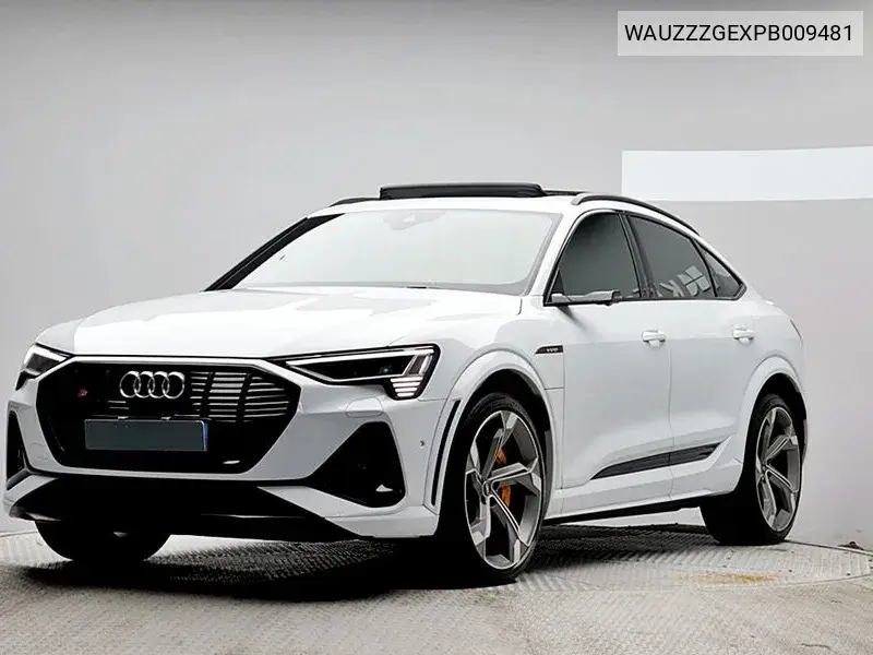 AUDI E-TRON 2023, VIN WAUZZZGEXPB009481