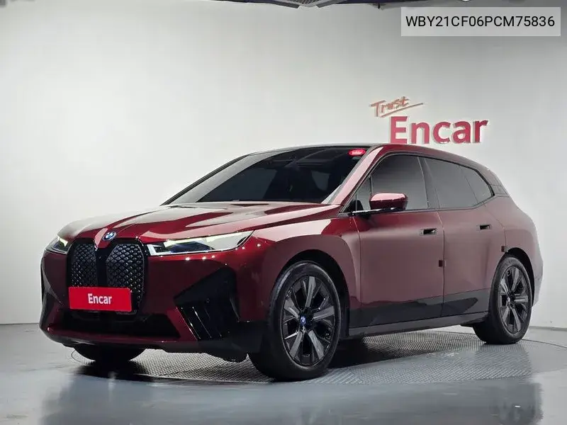 BMW IX 2023, VIN WBY21CF06PCM75836