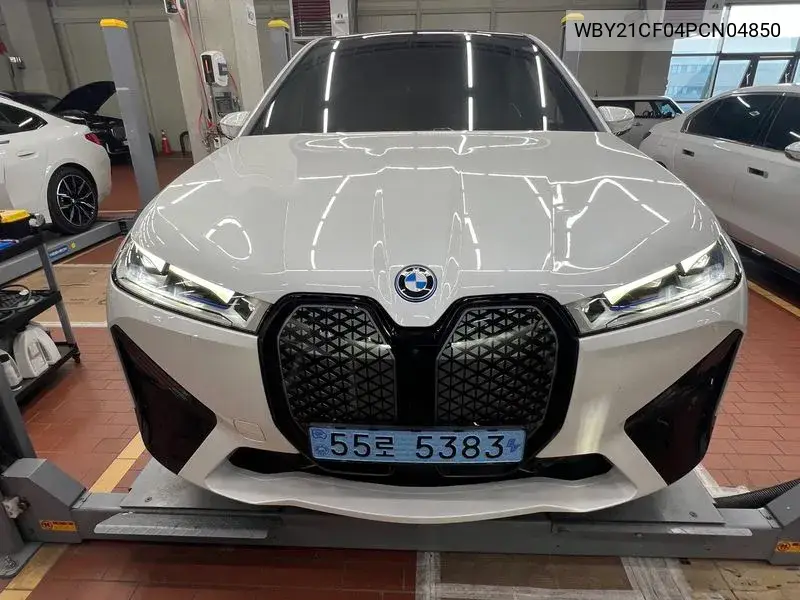 BMW IX 2023, VIN WBY21CF04PCN04850