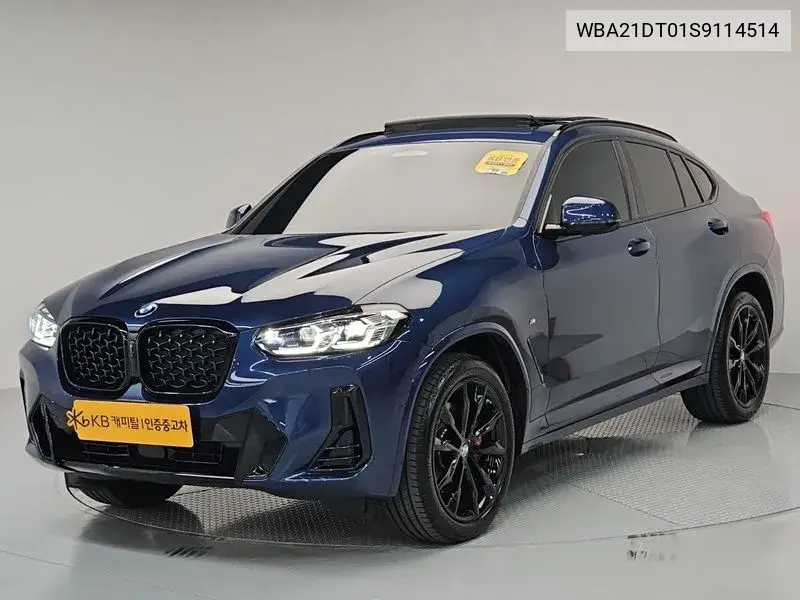 BMW X4 2025, VIN WBA21DT01S9114514