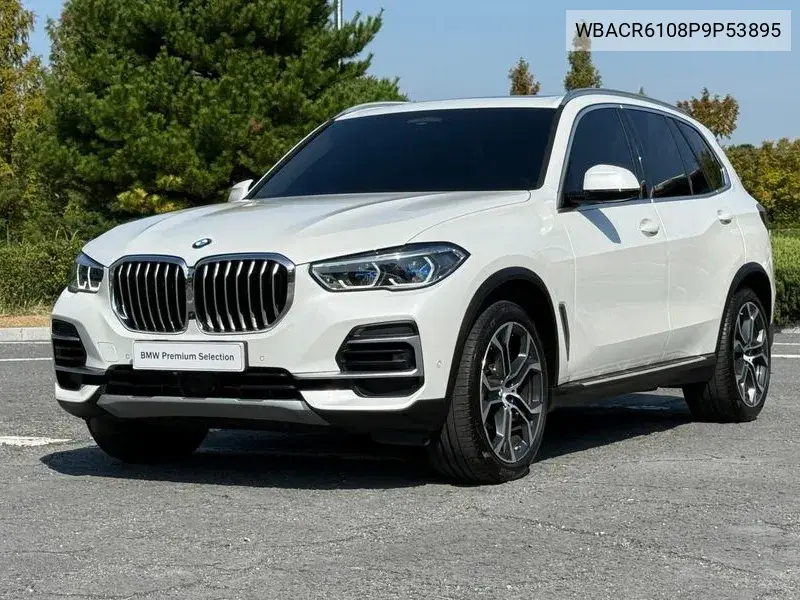 BMW X5 2023, VIN WBACR6108P9P53895