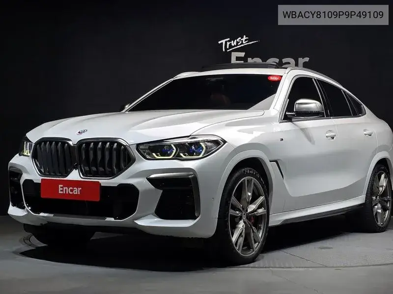 BMW X6 2023, VIN WBACY8109P9P49109
