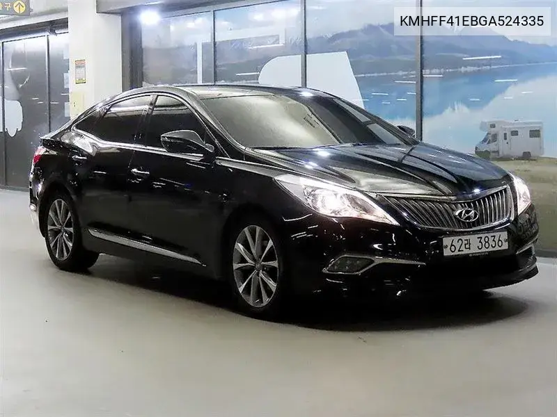 HYUNDAI N/A 2015, VIN KMHFF41EBGA524335
