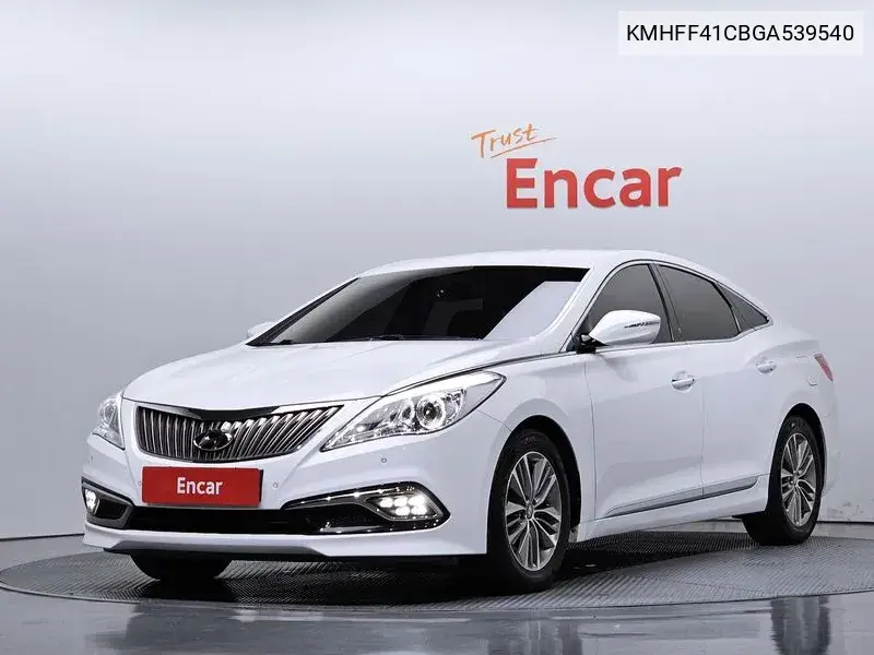 HYUNDAI N/A 2015, VIN KMHFF41CBGA539540