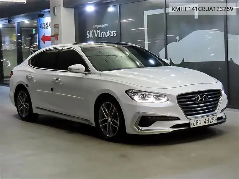 HYUNDAI N/A 2017, VIN KMHF141CBJA123259