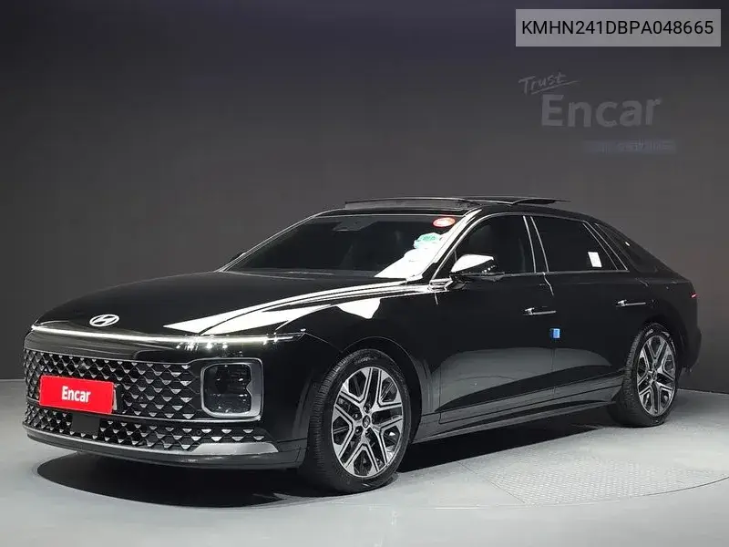 HYUNDAI N/A 2023, VIN KMHN241DBPA048665