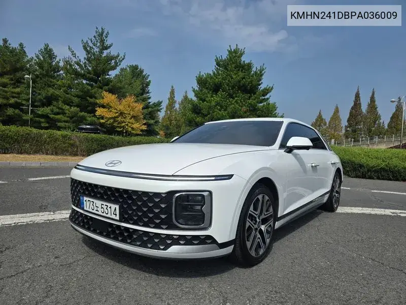 HYUNDAI N/A 2023, VIN KMHN241DBPA036009